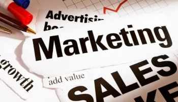 sales and marketing help for business